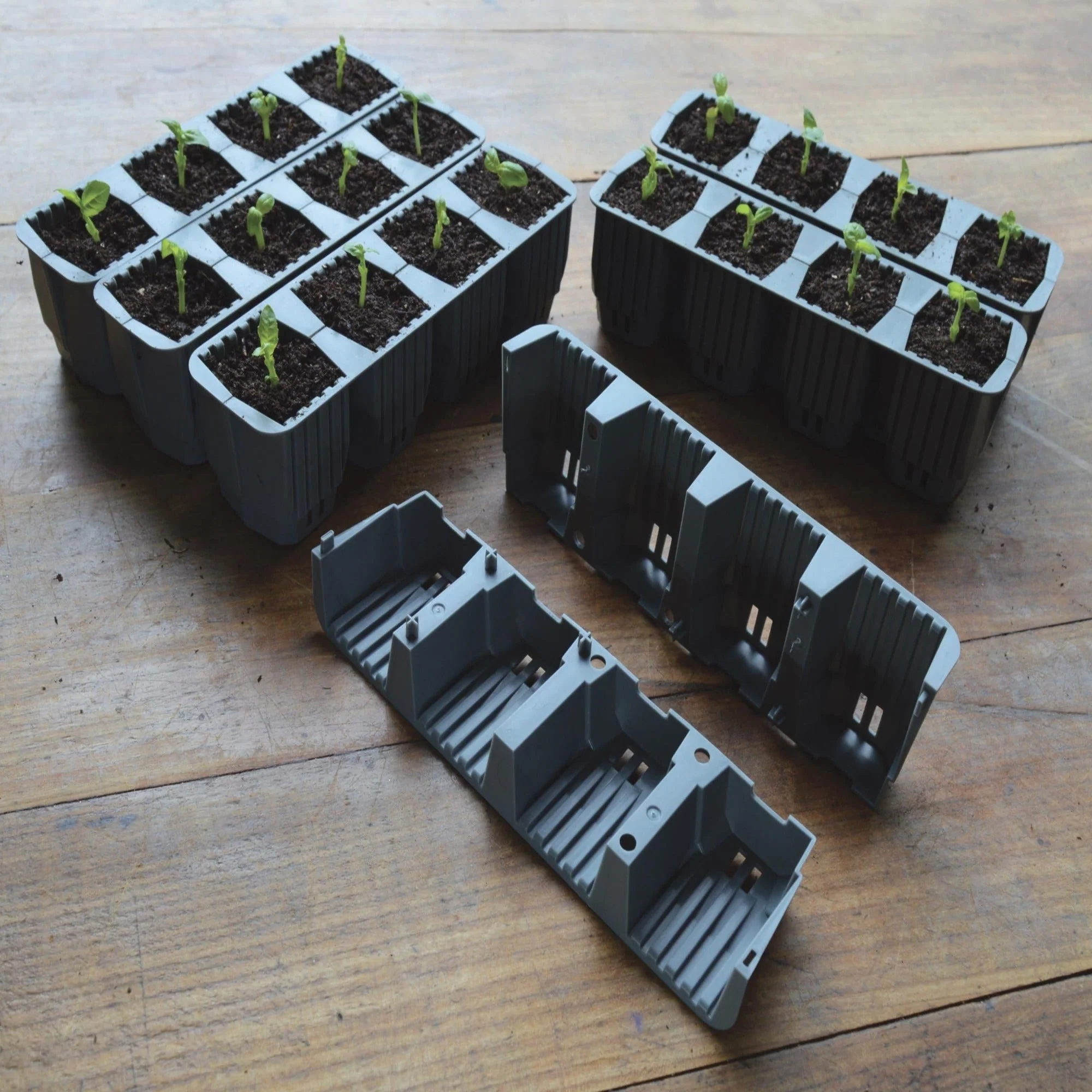 Garland 24 Cell Fast Root Success Kit - Image 2