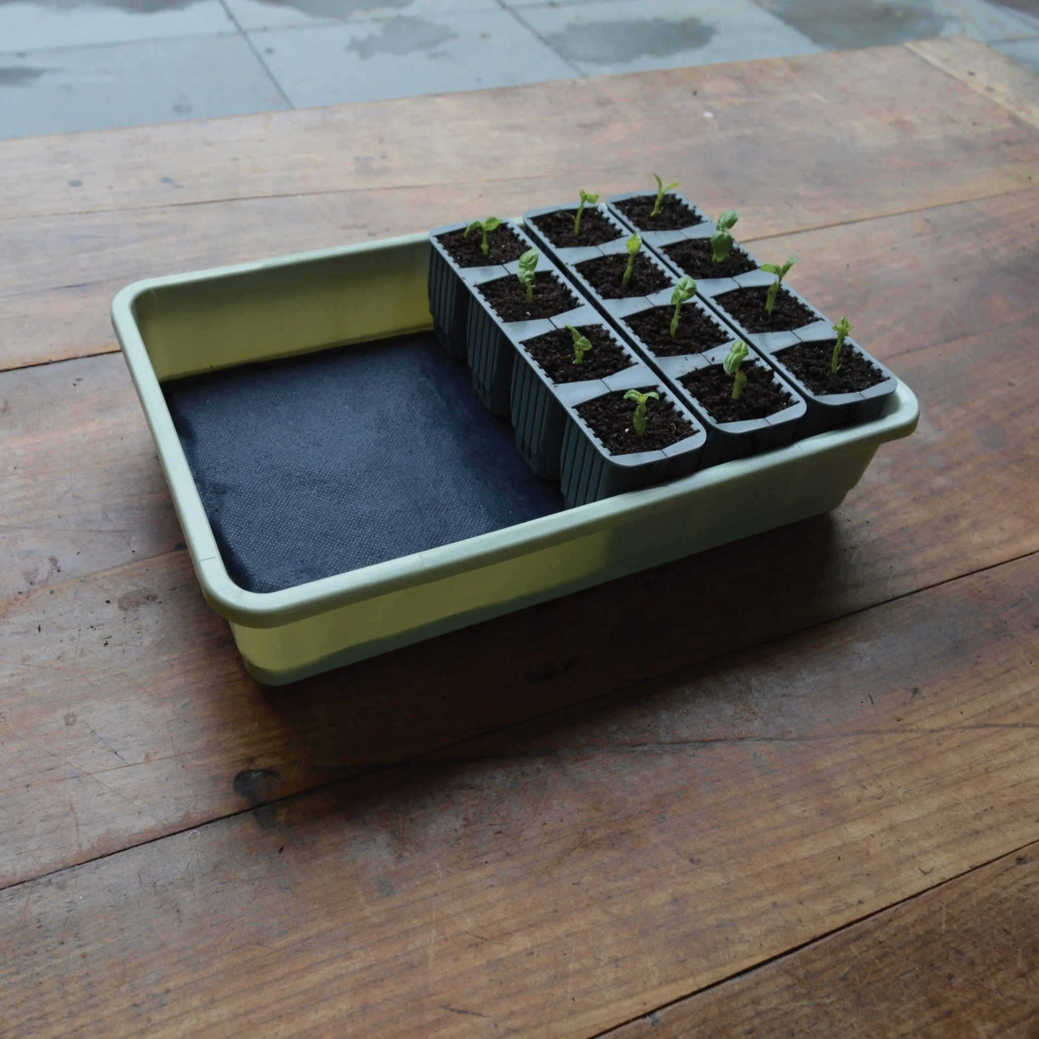 Garland 24 Cell Self Watering Fast Root Success Kit - Image 3