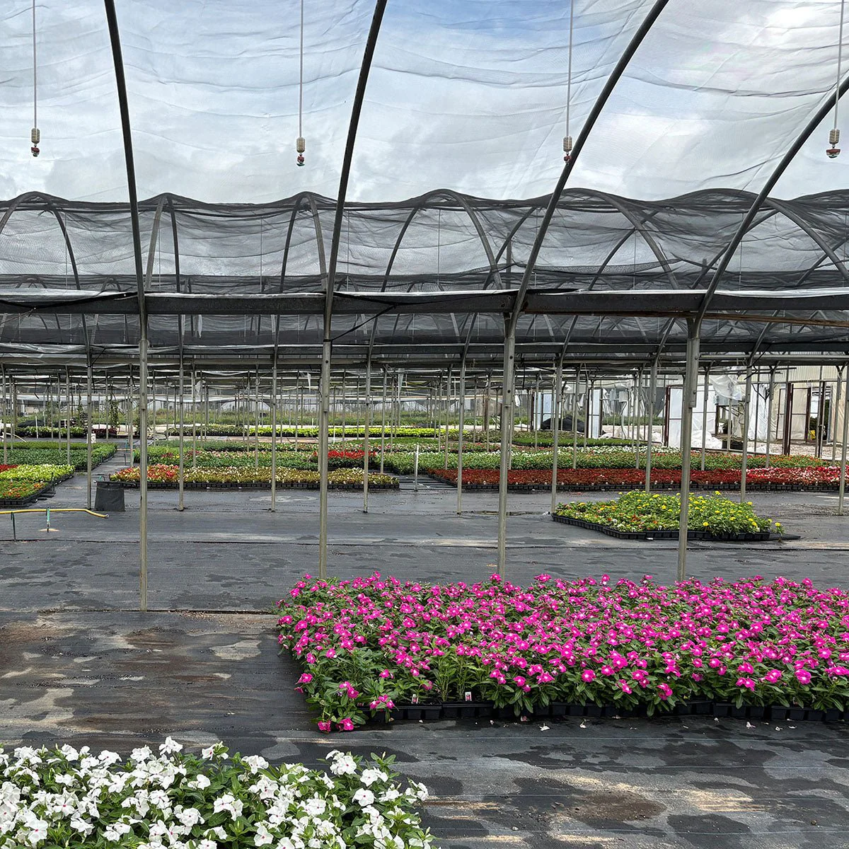 Green-Tek® 30% Black Woven Shade Cloth, Bulk - Image 3