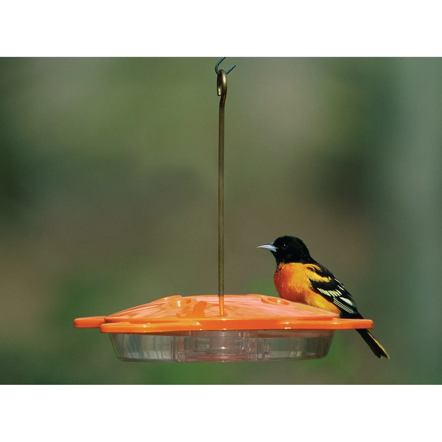 Aspects Oriole Bird Feeder - Image 3