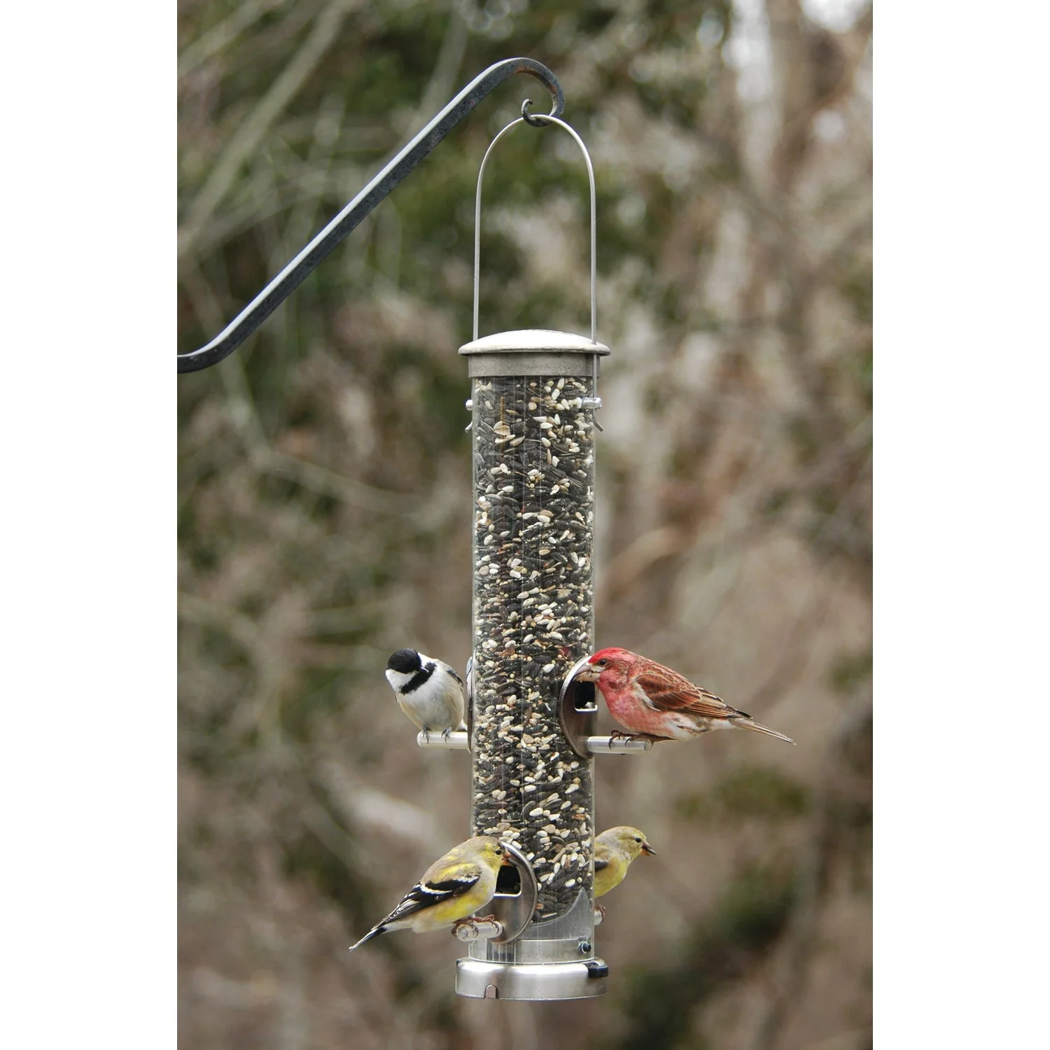 Aspects Quick Clean Seed Tube Feeder - Image 5