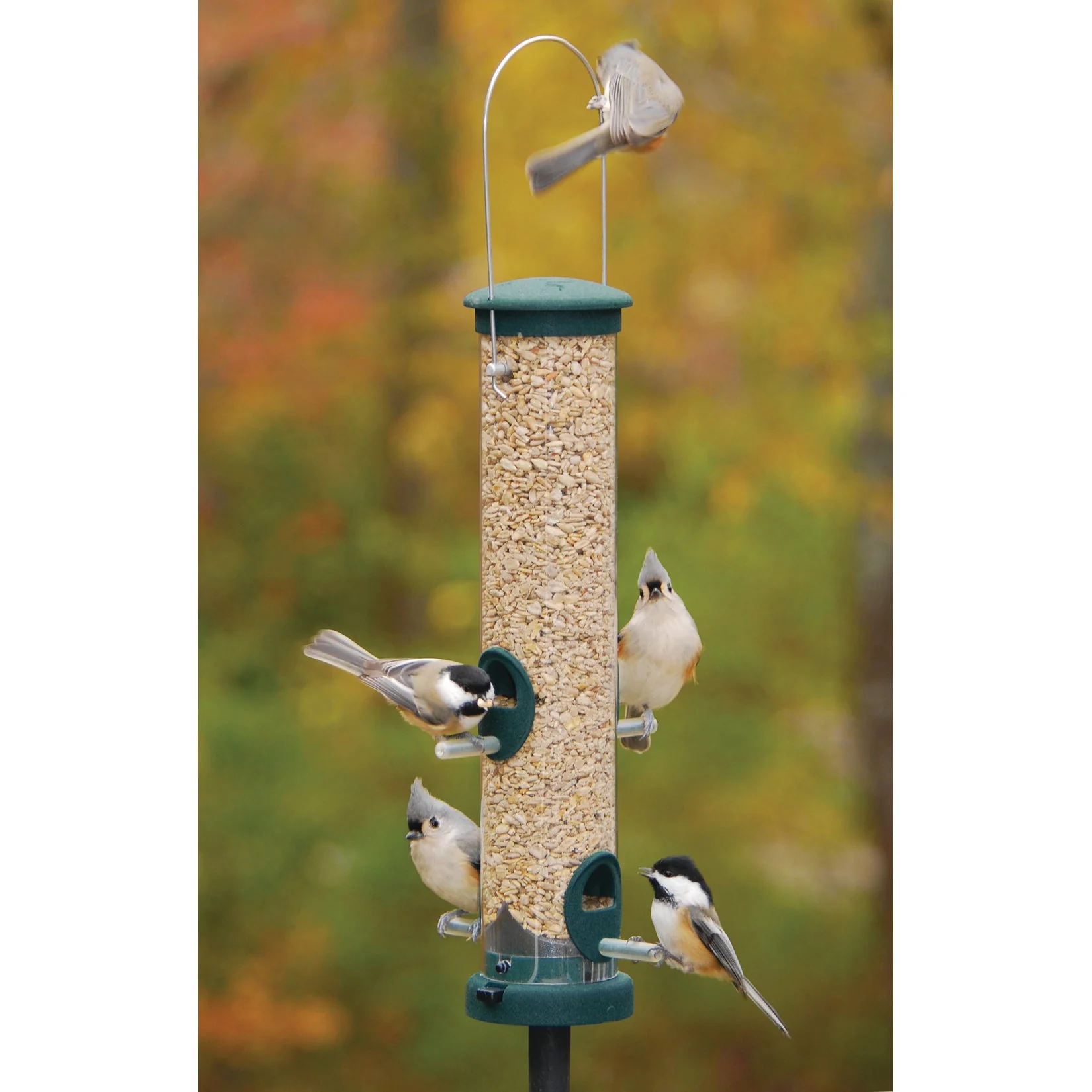 Aspects Quick Clean Seed Tube Feeder - Image 7