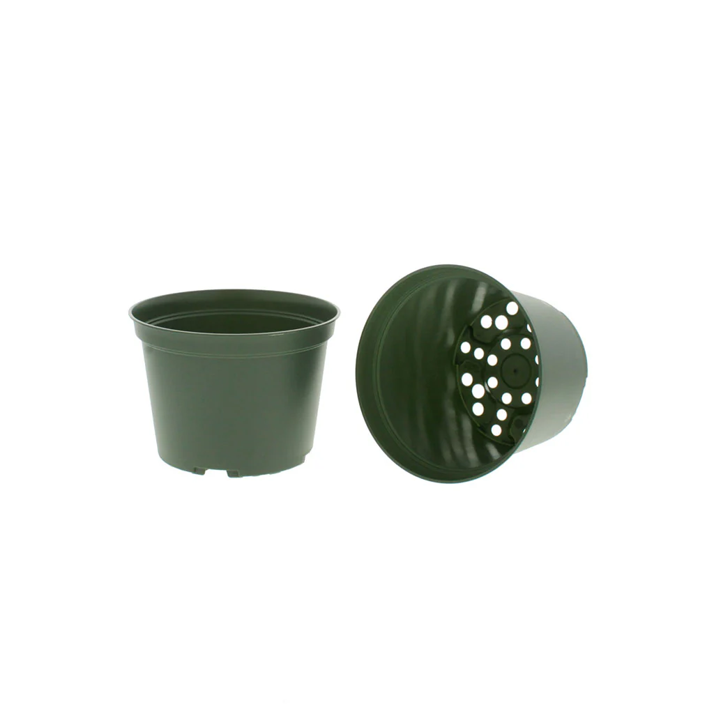 Azalea Green Round Pots - Image 4