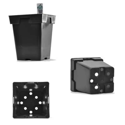 Belden 5.25 in. x 6.5 in. Black Jumbo Senior Square Pot