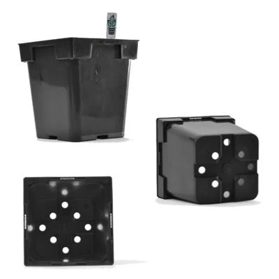 Belden 6 in. x 6.5 in. Black Magnum Square Pot