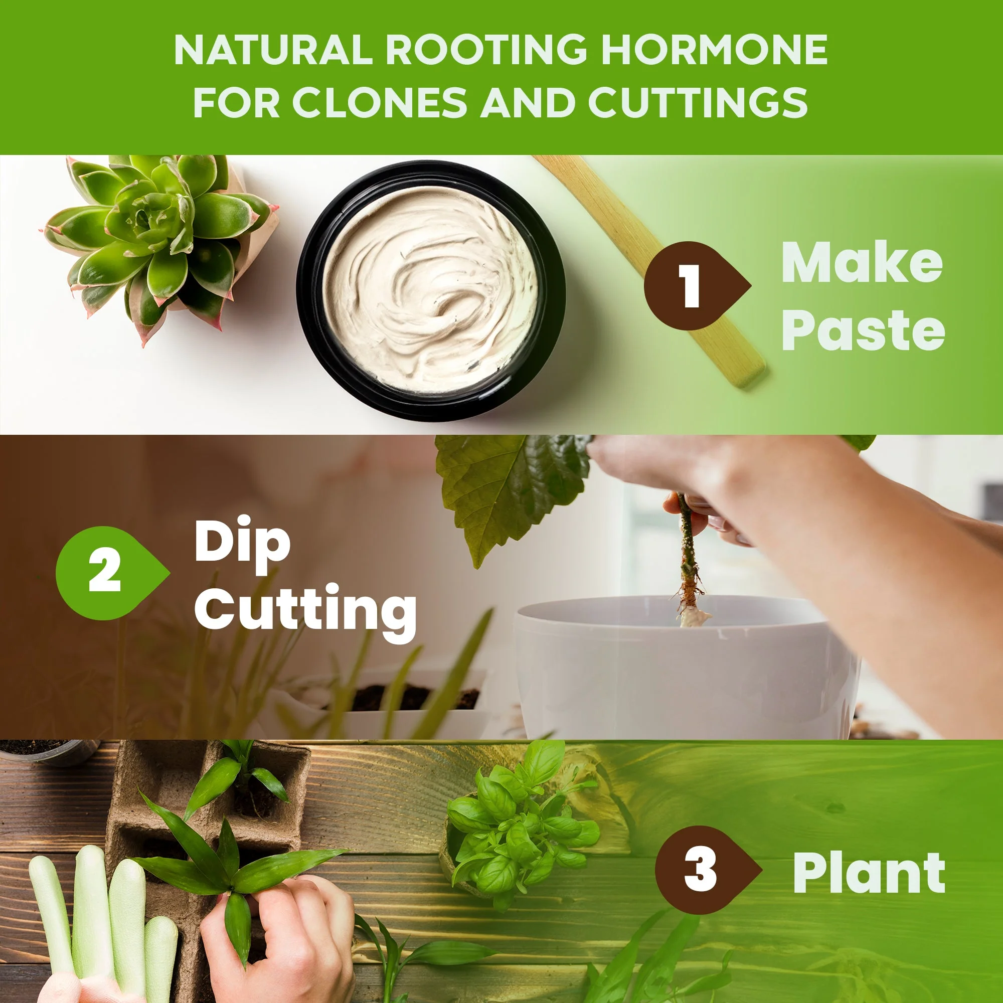 Big Foot™ Root Boost - Image 4