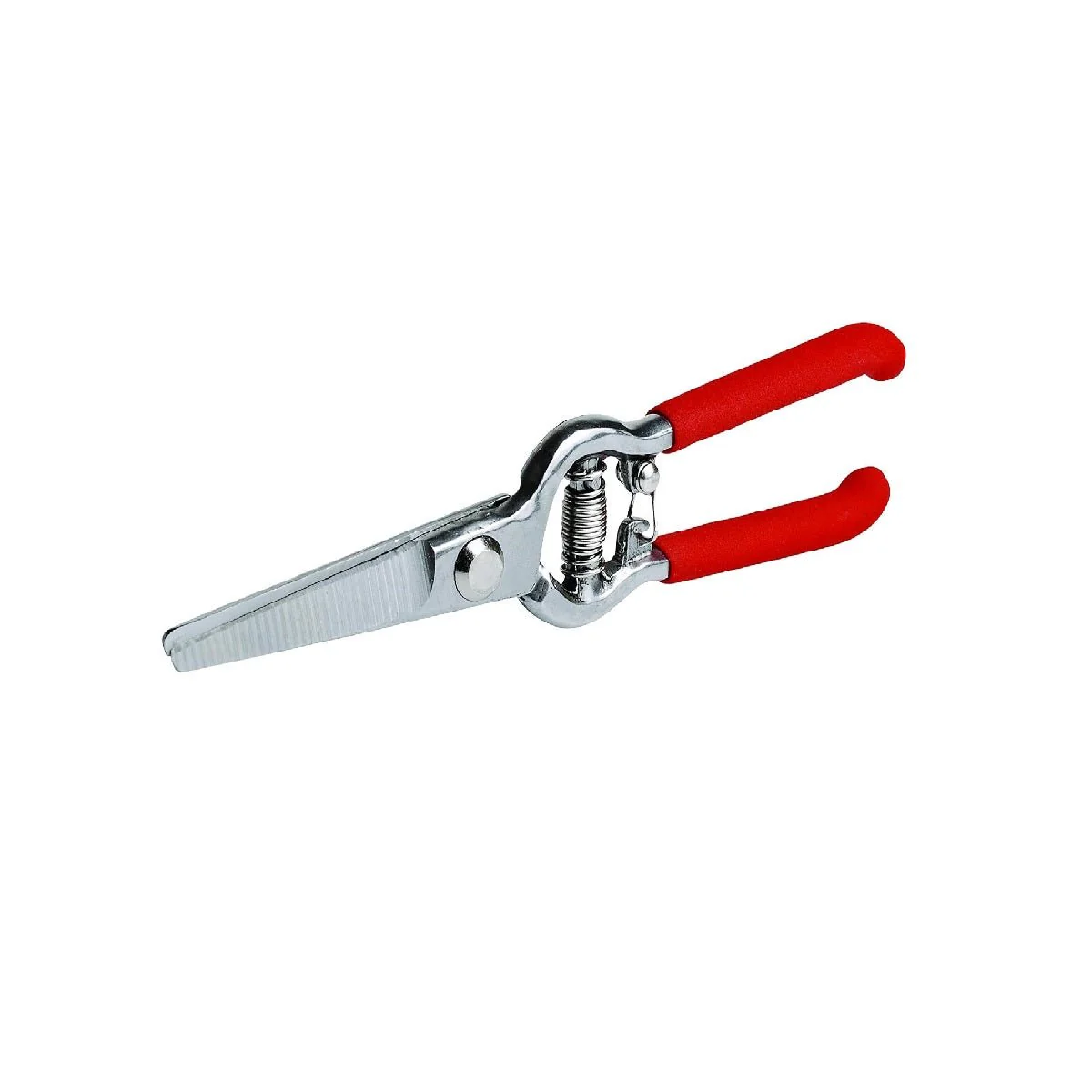 Bond Drop Forged Pruner Set - Image 3