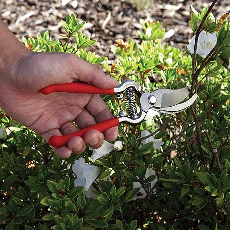 Bond Drop Forged Pruner Set - Image 4