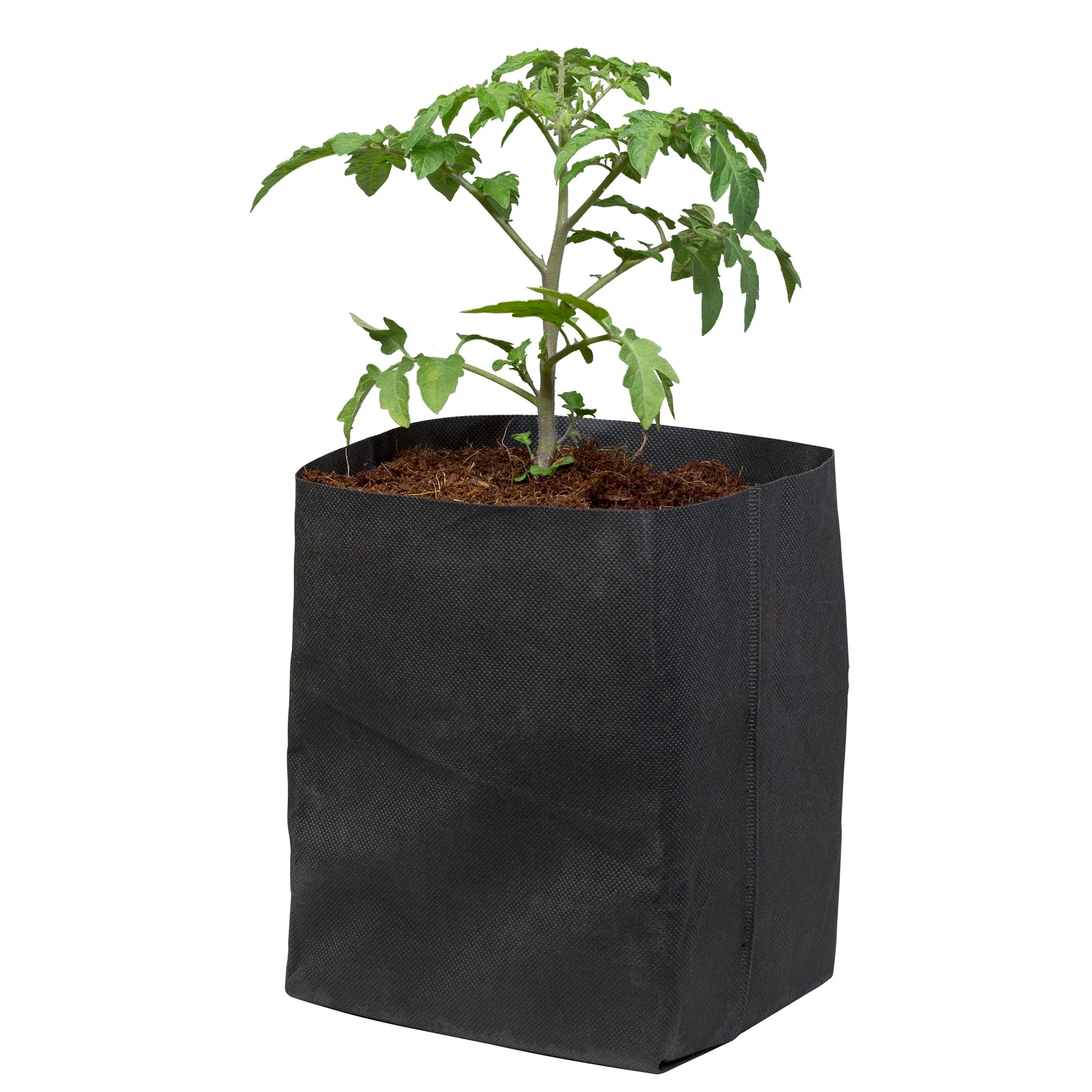 Botanicare® CocoPro™ Bag - Image 3