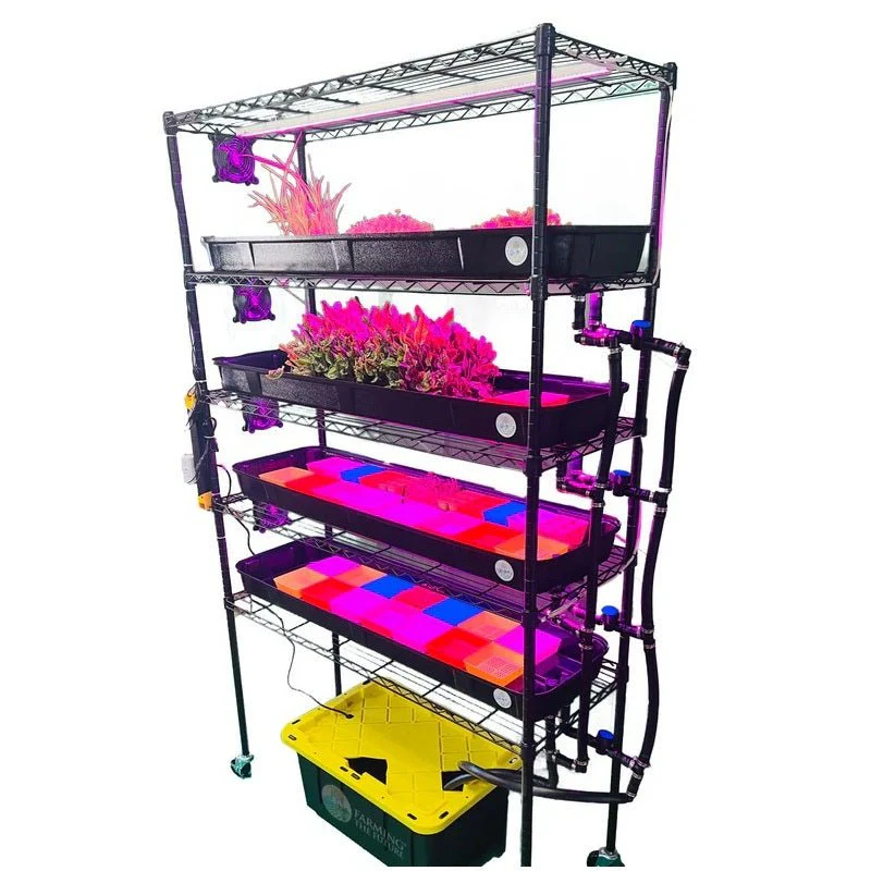 Classroom Hydroponics System - STEM Grow Rack - Image 4