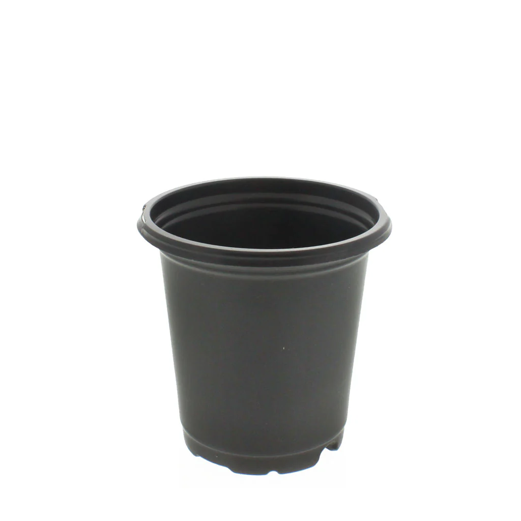 Coex Round Pots - Image 4