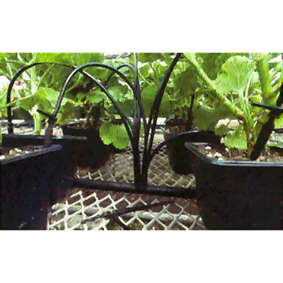 Container Drip Irrigation System - Image 2