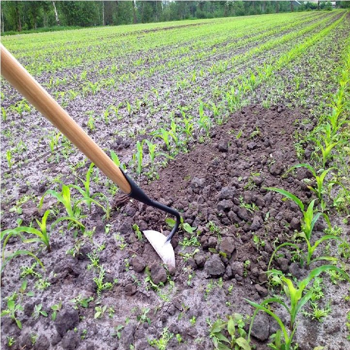 DeWit 75 in. Half Moon Hoe - Image 3