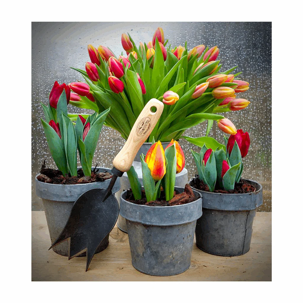 DeWit Tulip Trowel - Image 2
