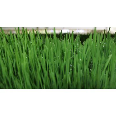 CropKing® FodderKing - Image 4