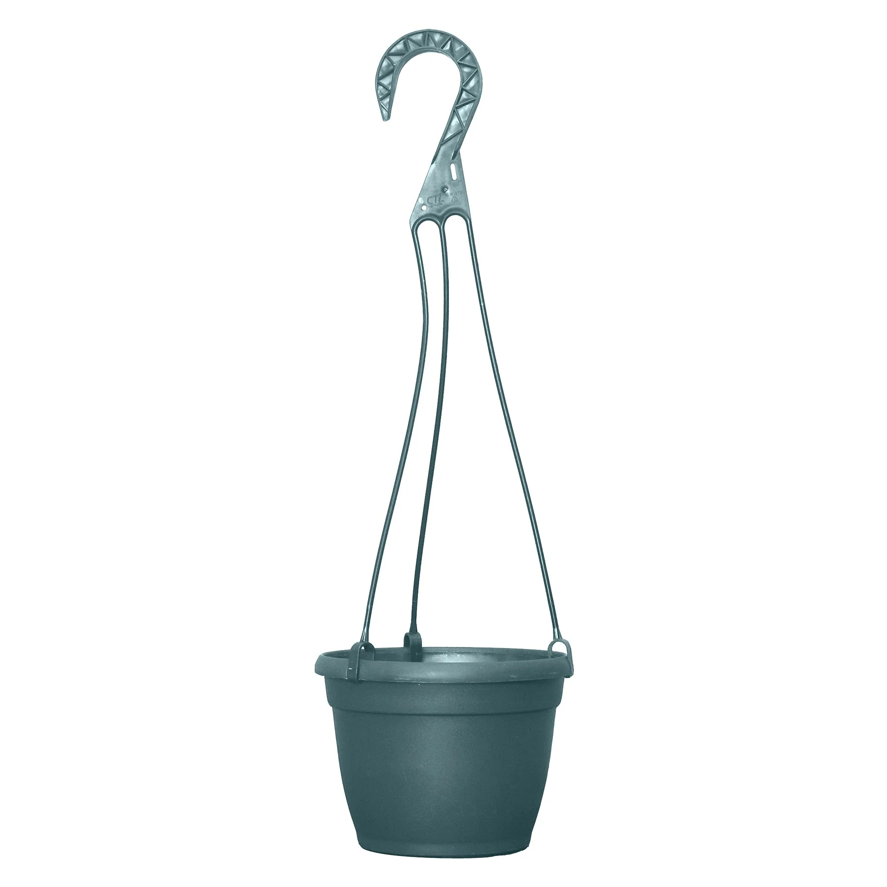 Grower Select 6 in. Bella Hanging Basket - Image 2