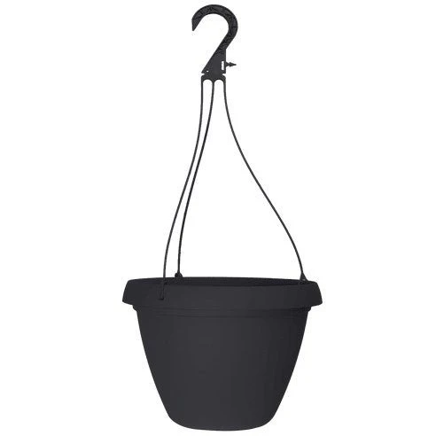 Grower Select 10 in. Cove Combo Hanging Basket - Image 4