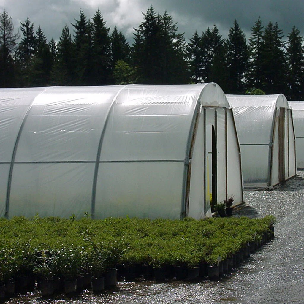 Grower Select 3mil Clear Overwintering Film - Image 2