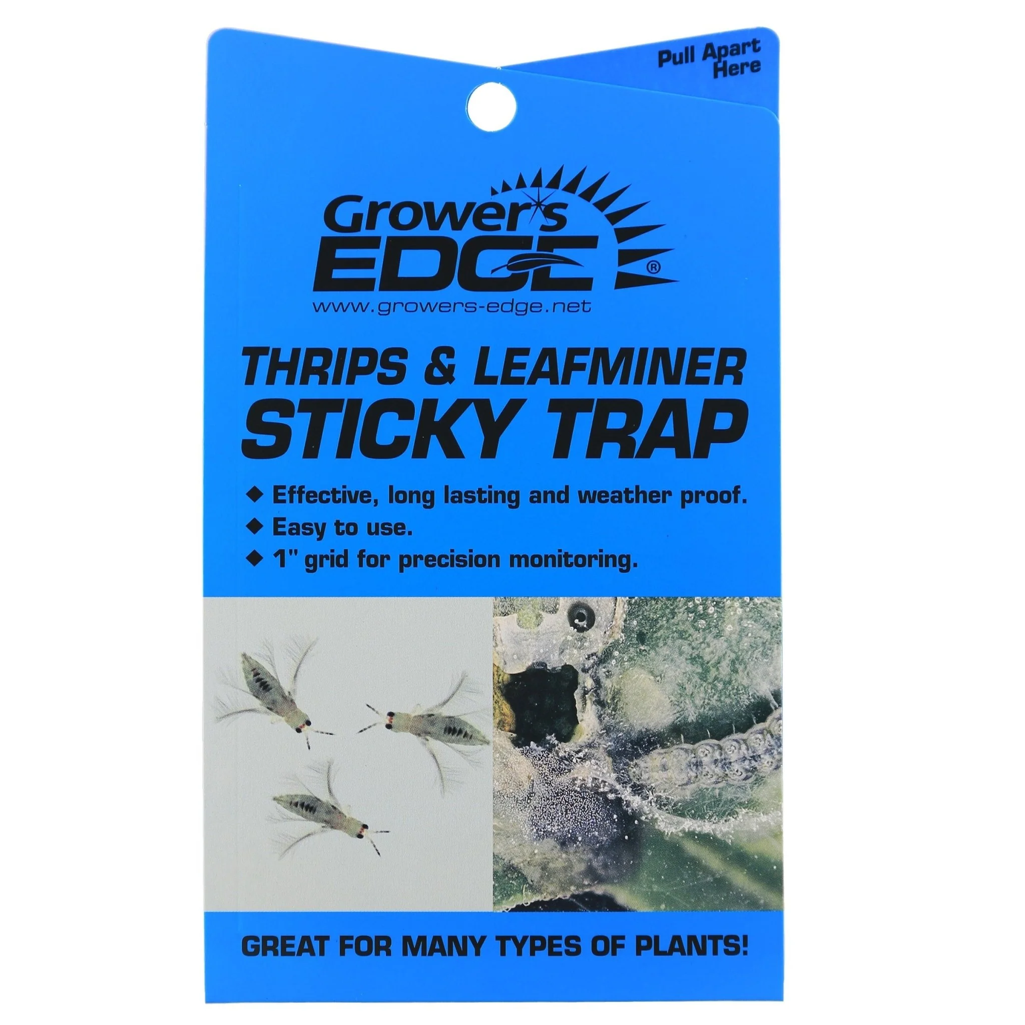Grower's Edge® Thrips & Leafminer Sticky Trap