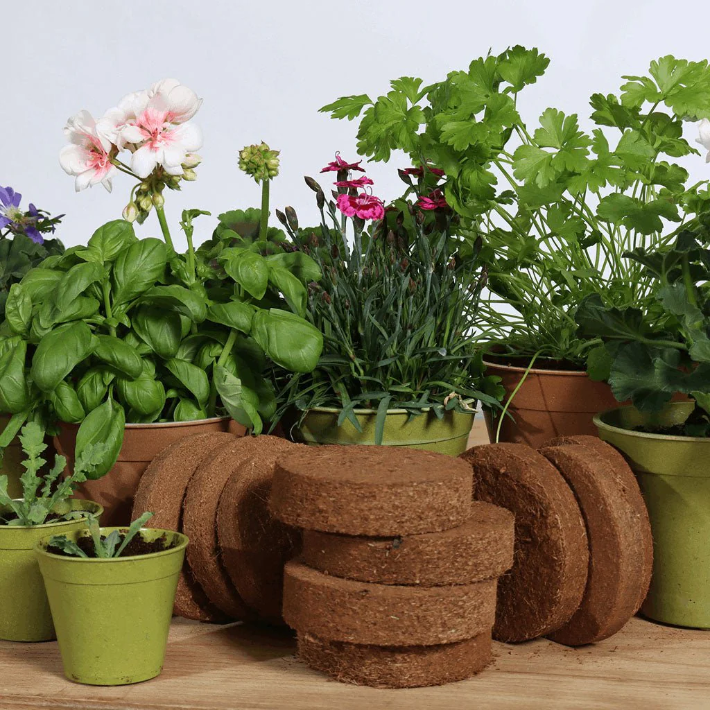 GrowLite Coir Discs 10 pack - Image 3