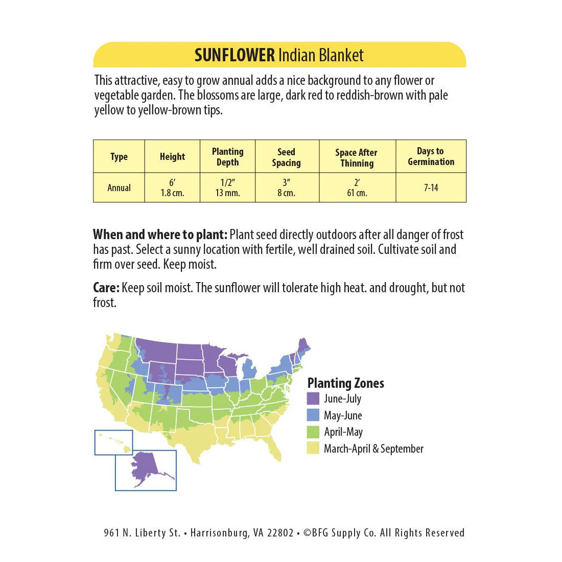 Wetsel Seed™ Indian Blanket Sunflower Seed - Image 2