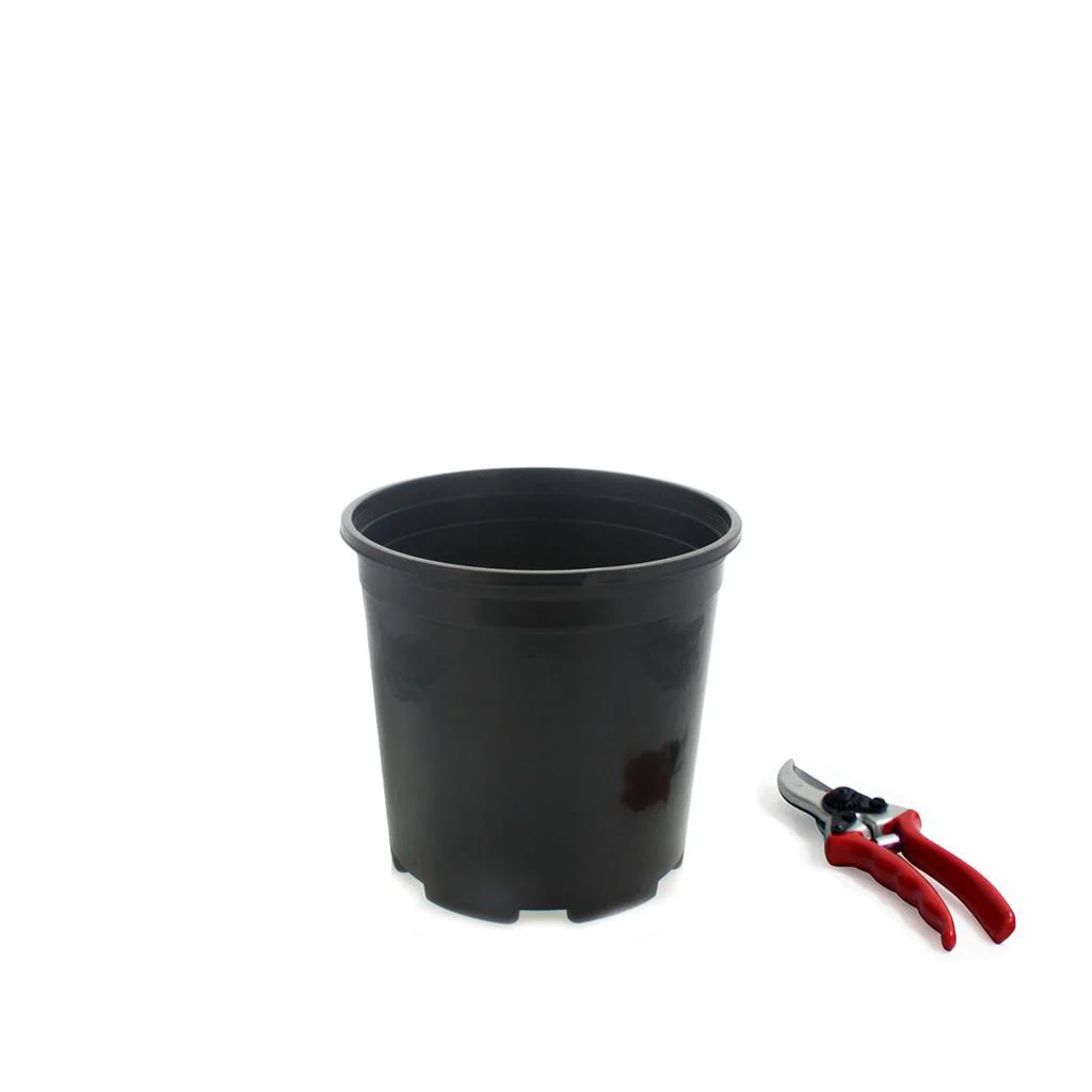 Injection Molded Nursery Containers - Image 2