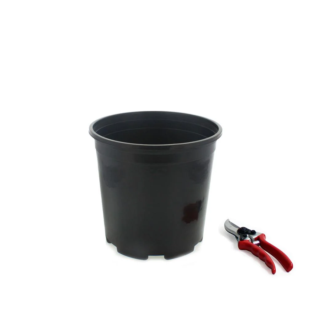 Injection Molded Nursery Containers - Image 3
