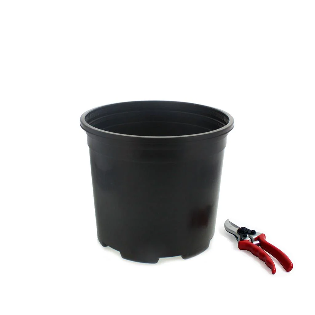 Injection Molded Nursery Containers - Image 4