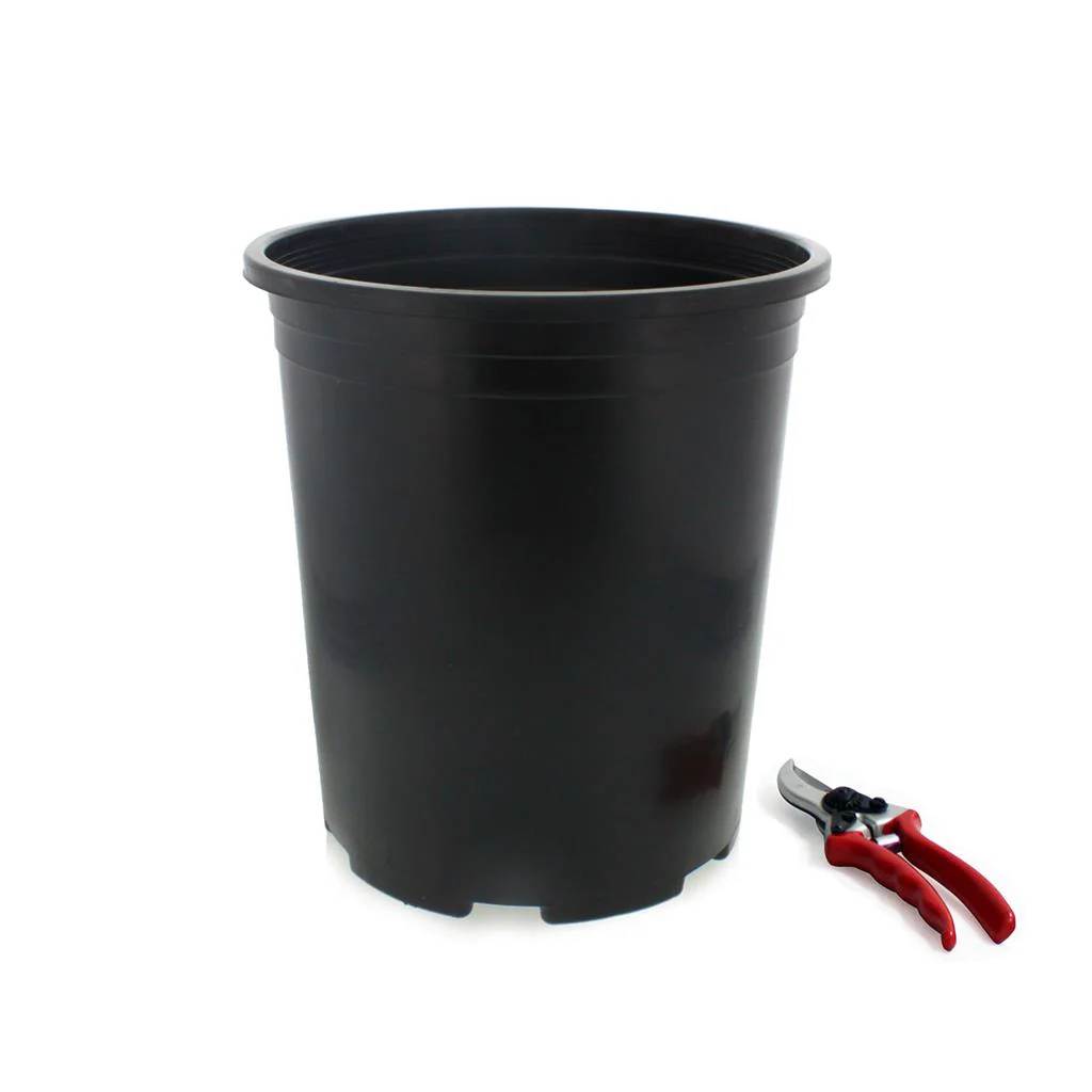 Injection Molded Nursery Containers - Image 5