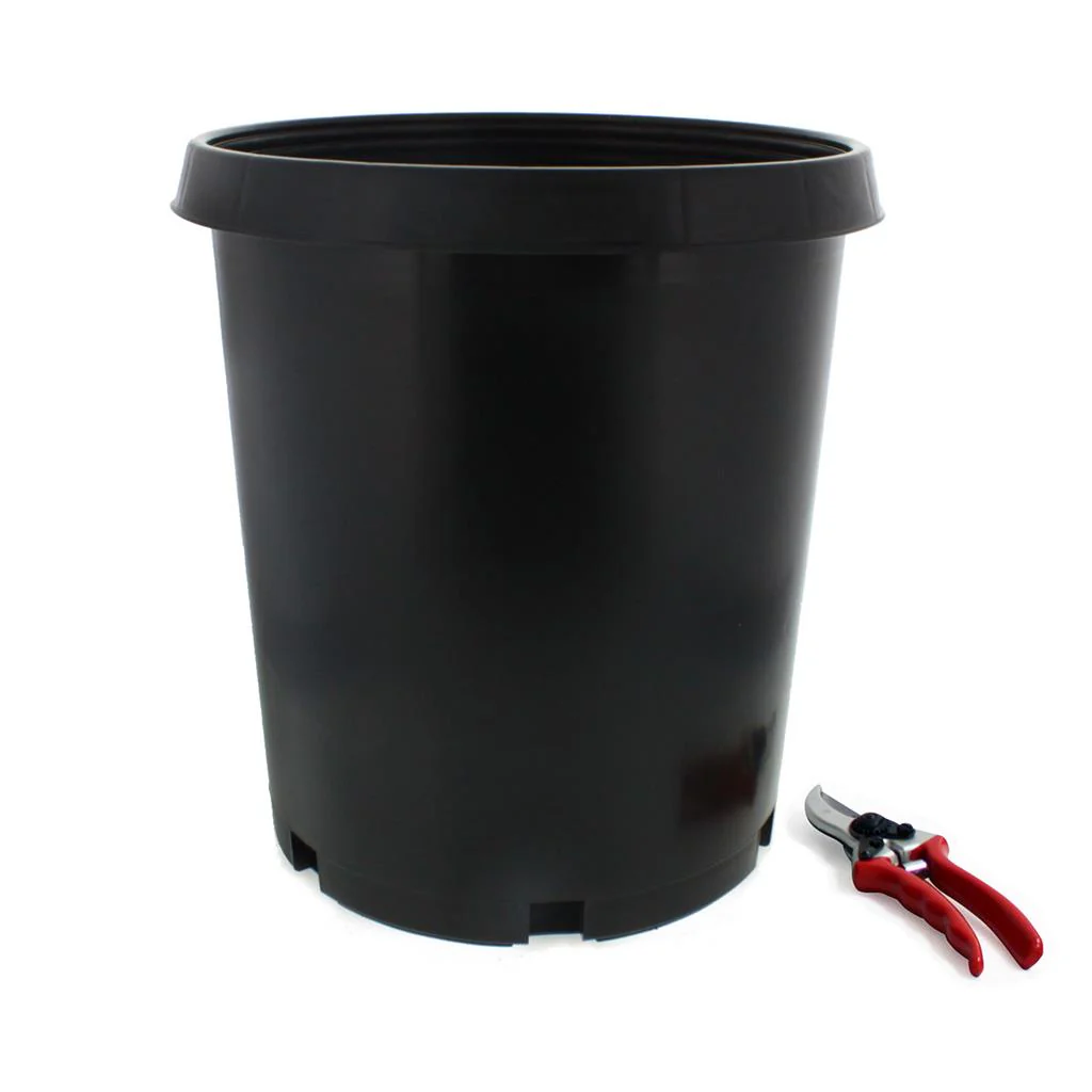 Injection Molded Nursery Containers - Image 6