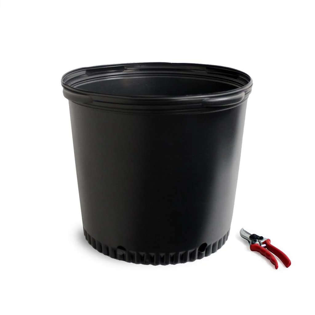 Large Nursery Containers - Image 4