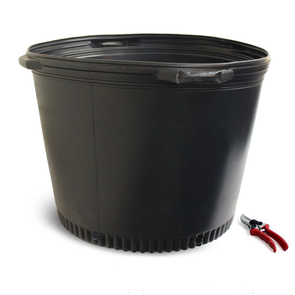 Large Nursery Containers - Image 5