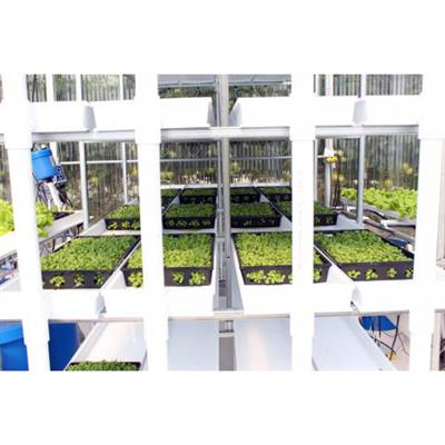 CropKing® Microgreen Rack - Image 4