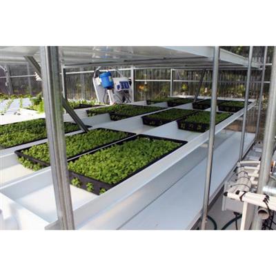 CropKing® Microgreen Rack - Image 5