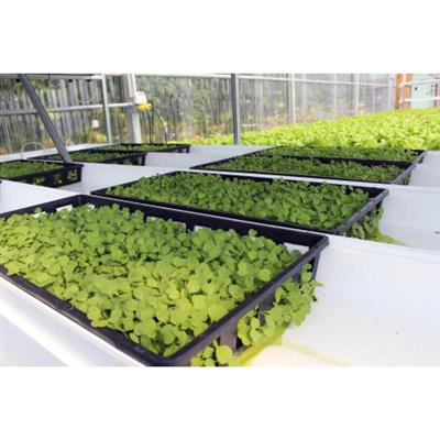 CropKing® Microgreen Rack - Image 6