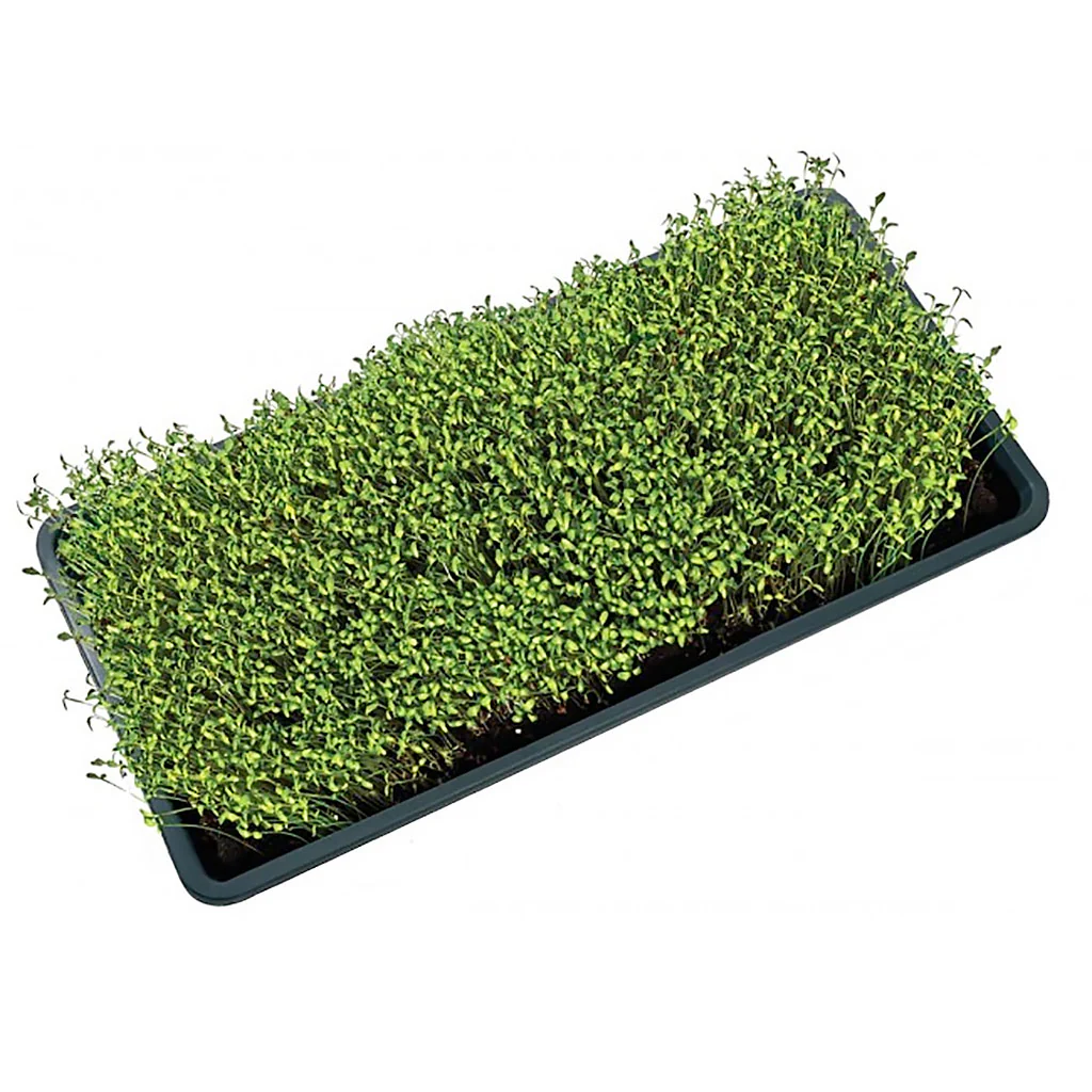 Garland Microgreen Tray with Holes - Image 3