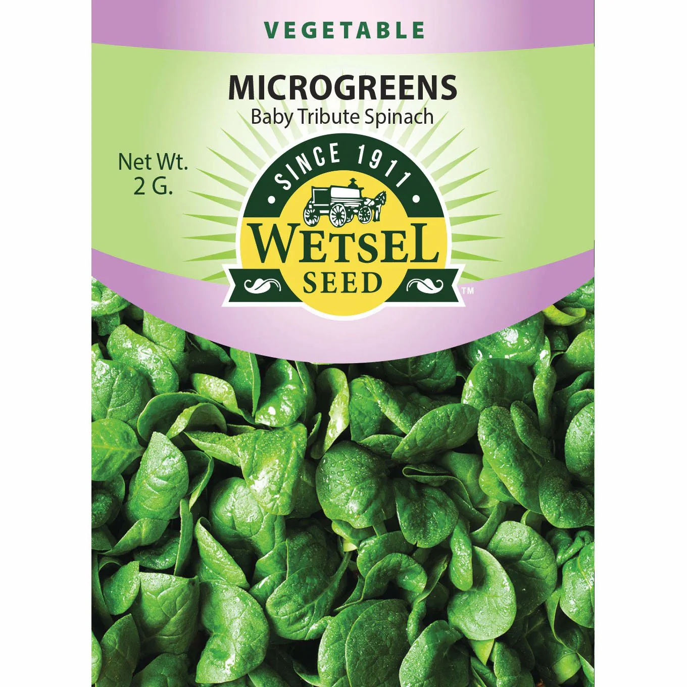 Wetsel Seed™ Microgreens Baby Tribute Spinach Seed