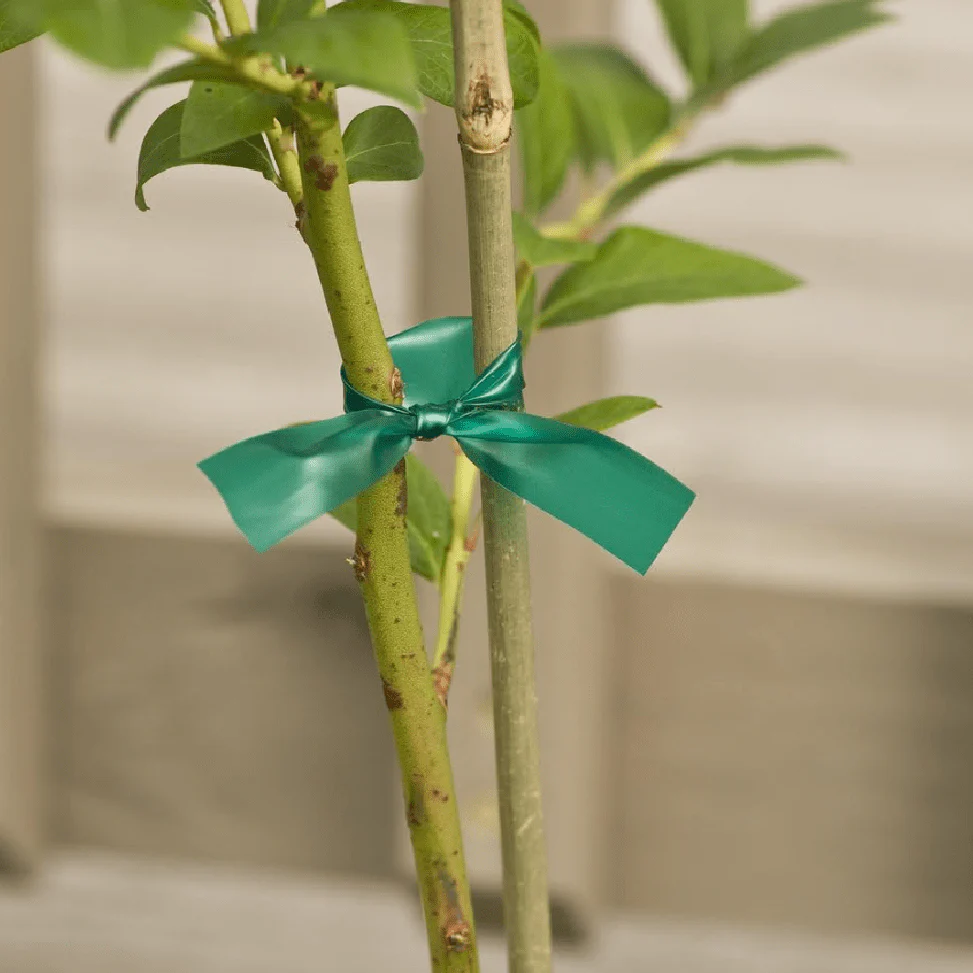 Miracle Garden Tie™ Stretchable Garden Tape - Image 3