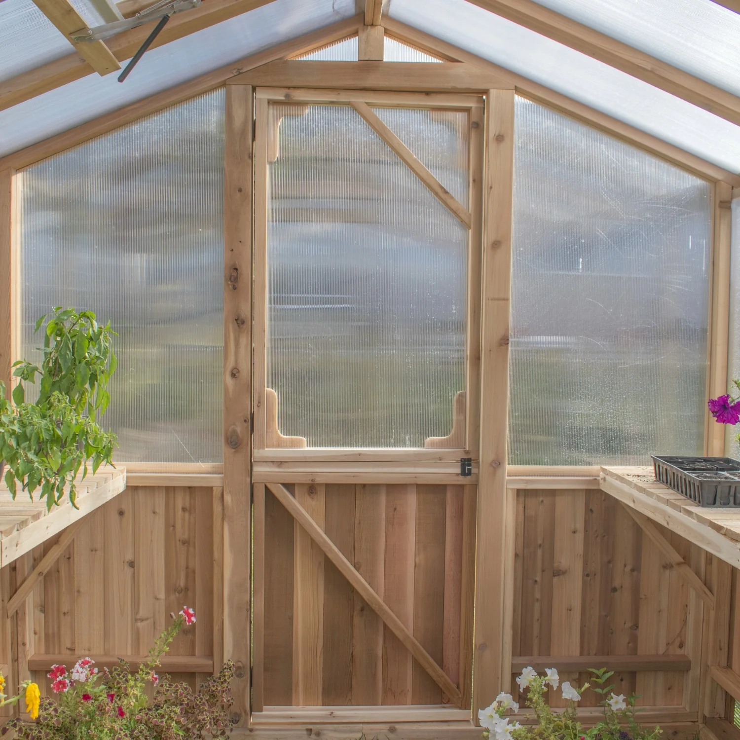 Outdoor Living Greenhouse Kit 8 ft. Wide with 6mm Twin Wall Polycarbonate Panels and Cedar Wood Frame - Image 6