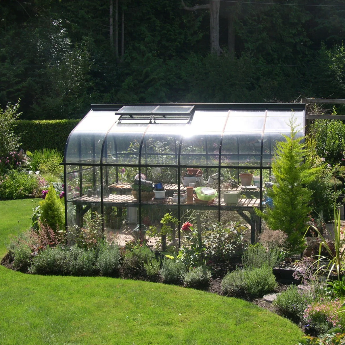Pacific Glass Greenhouse Kit with 3mm Tempered Glass Panels and Aluminum Frame - Image 6