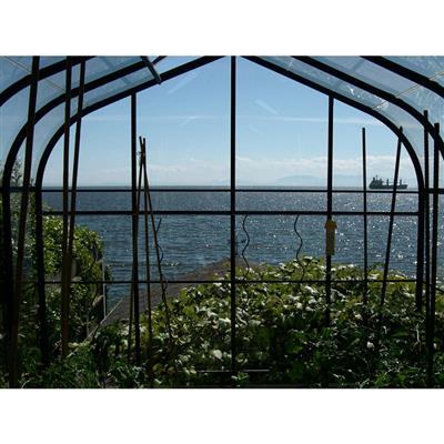 Pacific Glass Greenhouse Kit with 3mm Tempered Glass Panels and Aluminum Frame - Image 8