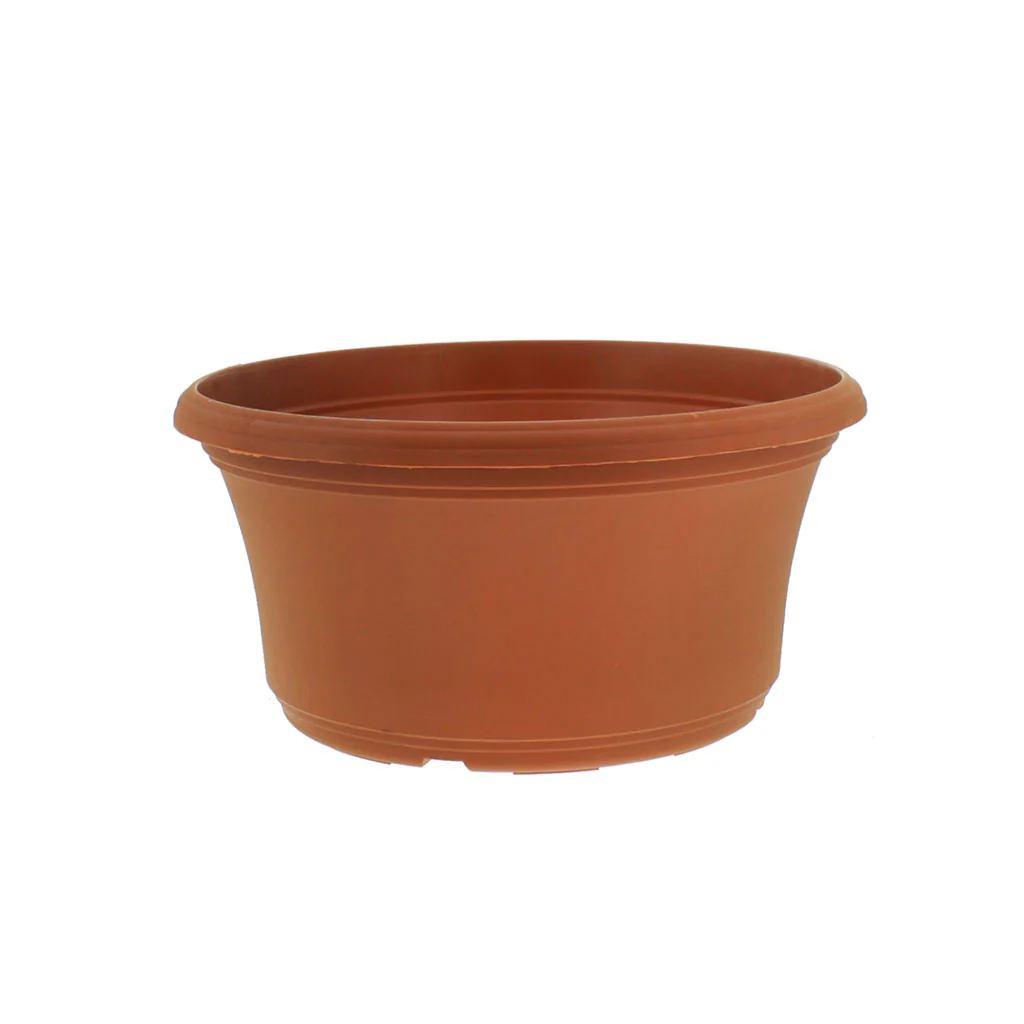 Panterra Bowl Planters - Image 3