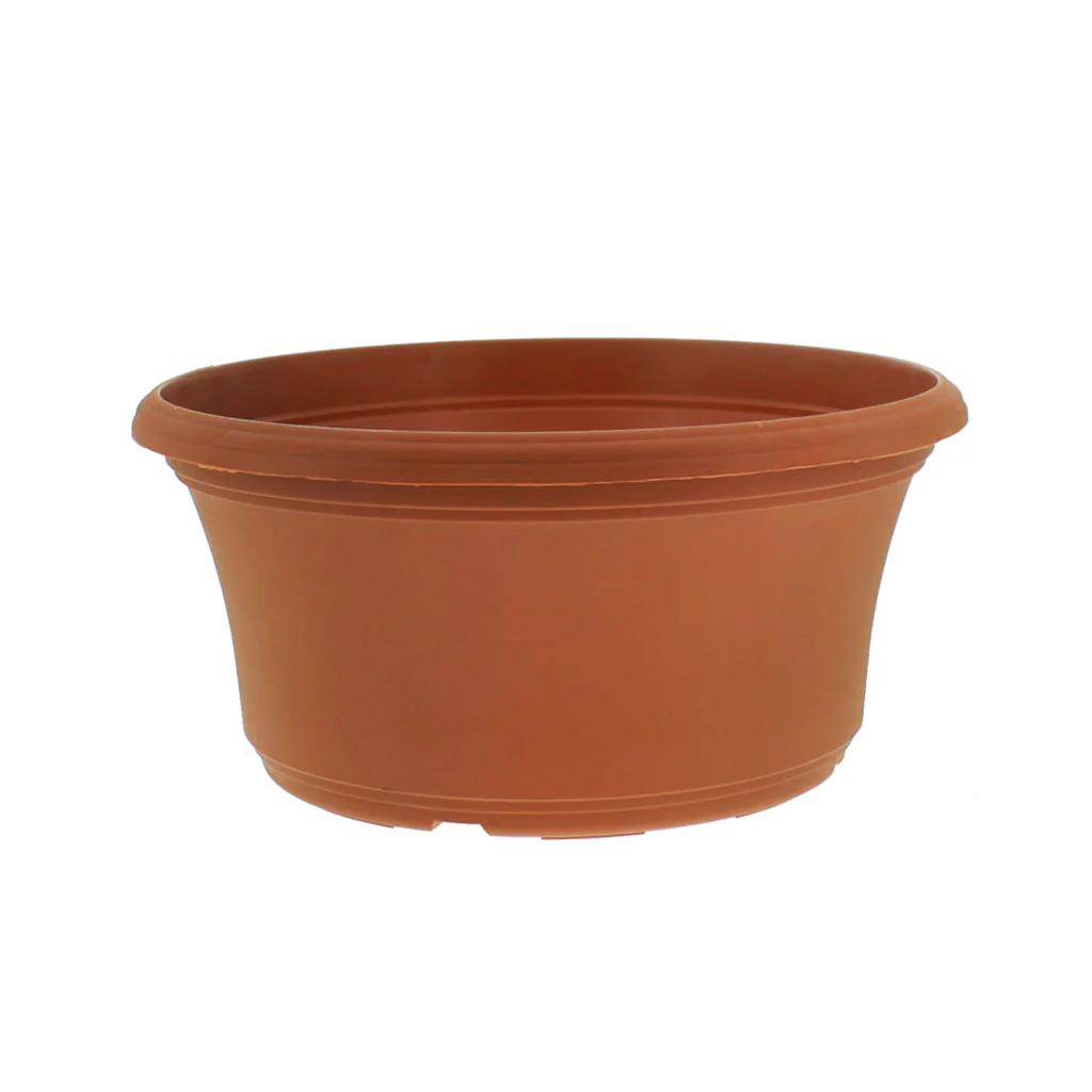Panterra Bowl Planters - Image 4