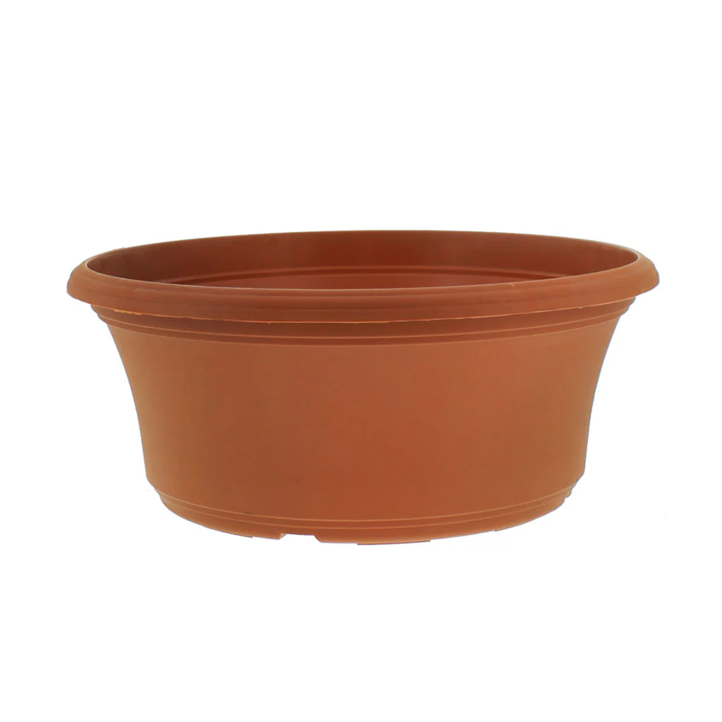Panterra Bowl Planters - Image 5