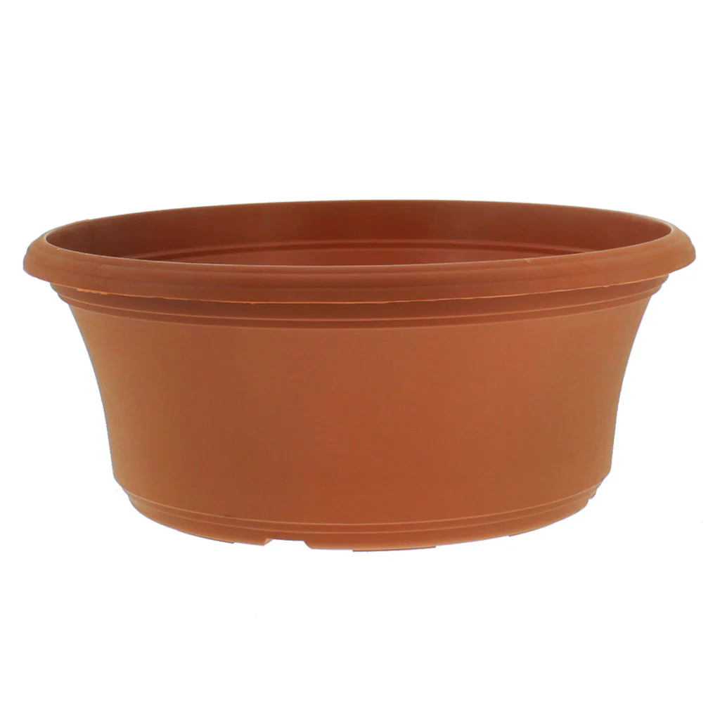 Panterra Bowl Planters - Image 6