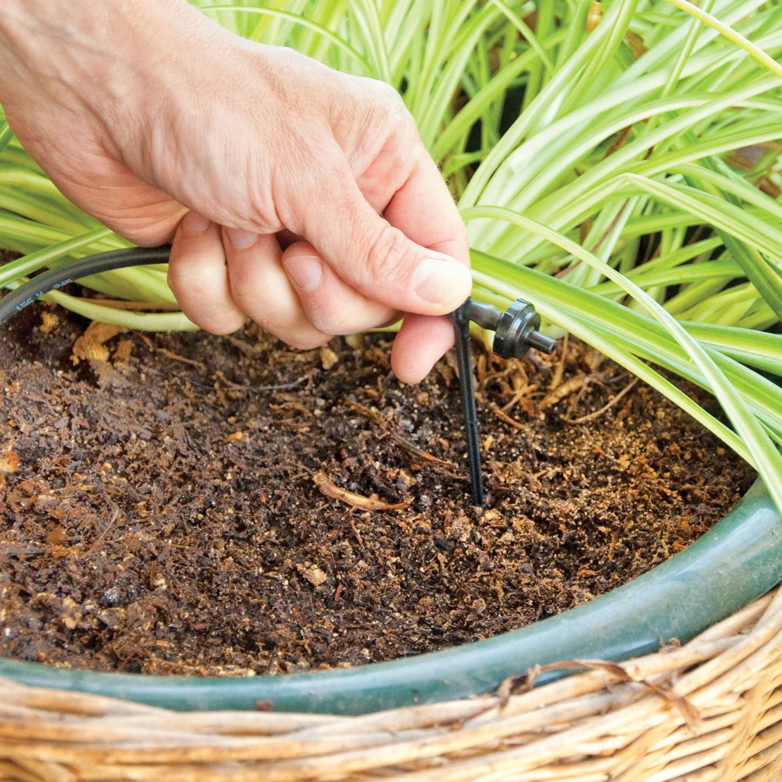 Patio Drip Watering Kit - Image 4