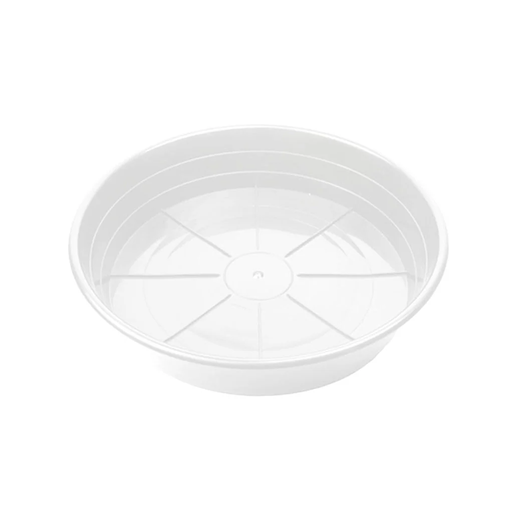 SUNPACK® Premium Saucers - Image 10