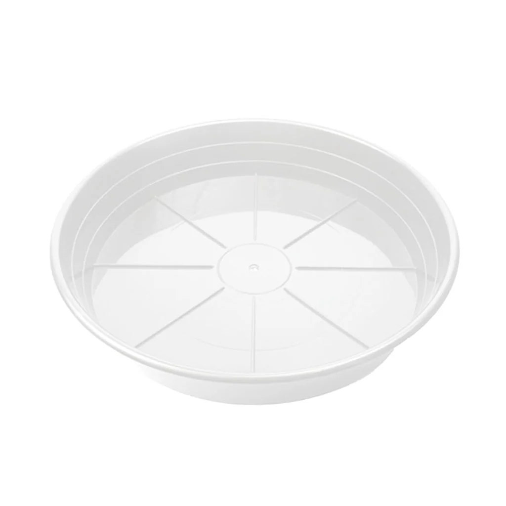 SUNPACK® Premium Saucers - Image 11