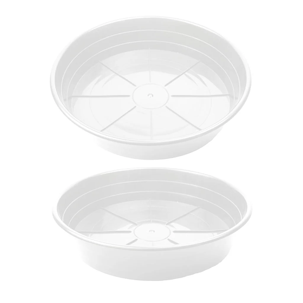 SUNPACK® Premium Saucers - Image 7