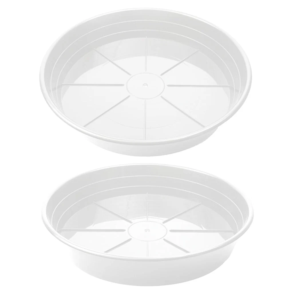 SUNPACK® Premium Saucers - Image 8